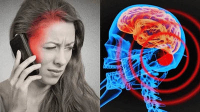 SicherWelle™ Handysignale Neutralisieren