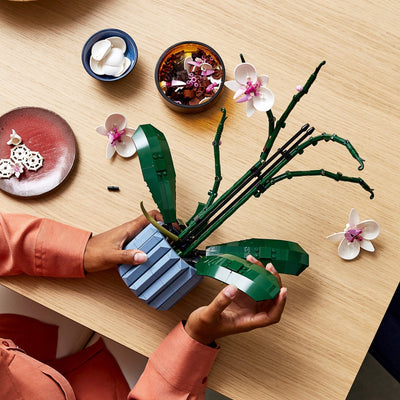 Botanische Sammlung Dekor