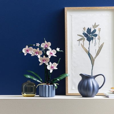 Botanische Sammlung Dekor