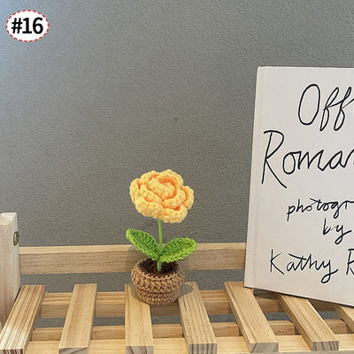 Handgefertigte Häkelblumentopf-Dekoration