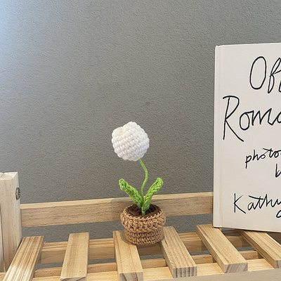 Handgefertigte Häkelblumentopf-Dekoration