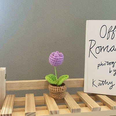 Handgefertigte Häkelblumentopf-Dekoration