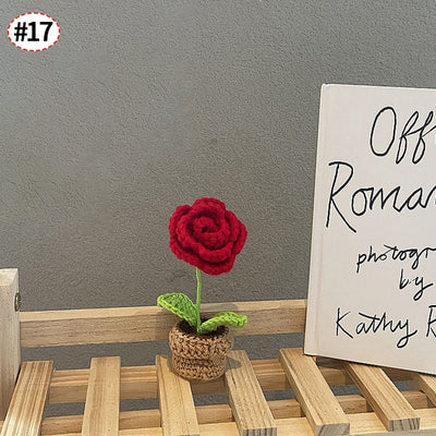 Handgefertigte Häkelblumentopf-Dekoration