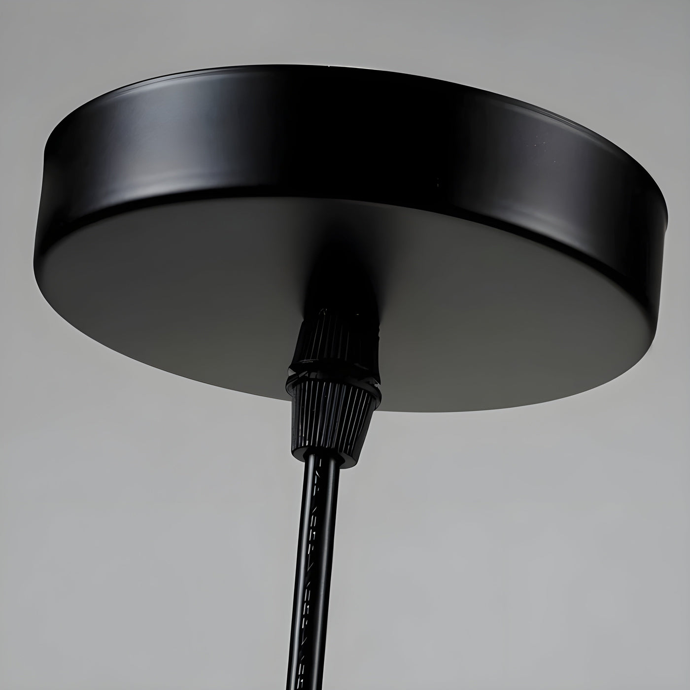 GlassyGleam Light - Moderne Zoo Glas Pendelleuchte