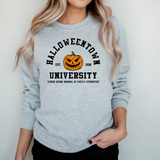 RAELYN - Halloweentown Universität Sweatshirt in Grau