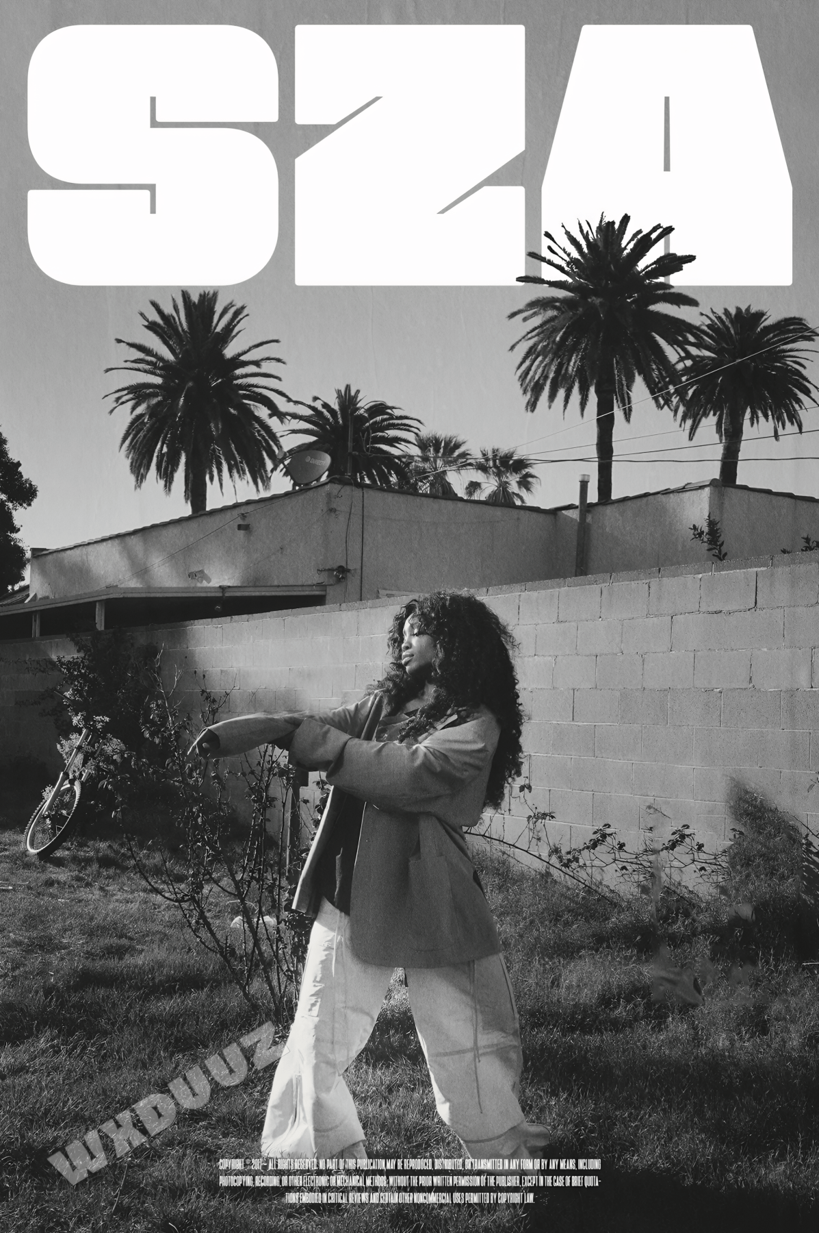 R&B ROYALTY: SZA | WANDDEKOR