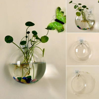 Schwebende Vase - Hängende Glas-Hydroponikvase