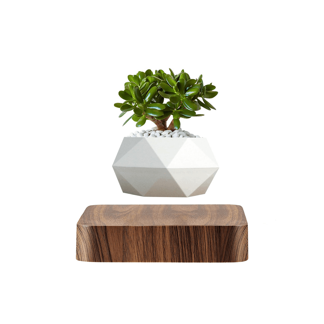 Schwebender Luft-Bonsai-Topf – Magnetischer Schwebetopf