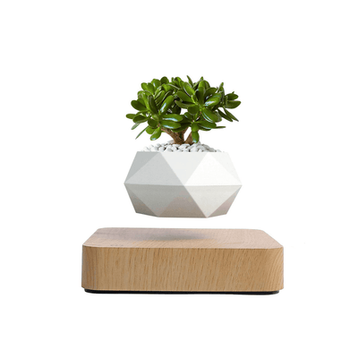 Schwebender Luft-Bonsai-Topf – Magnetischer Schwebetopf
