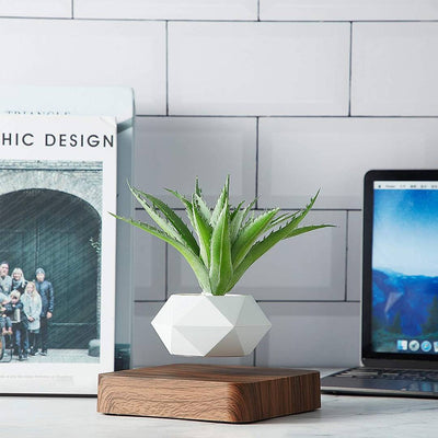 Schwebender Luft-Bonsai-Topf – Magnetischer Schwebetopf