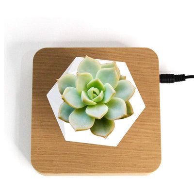 Schwebender Luft-Bonsai-Topf – Magnetischer Schwebetopf