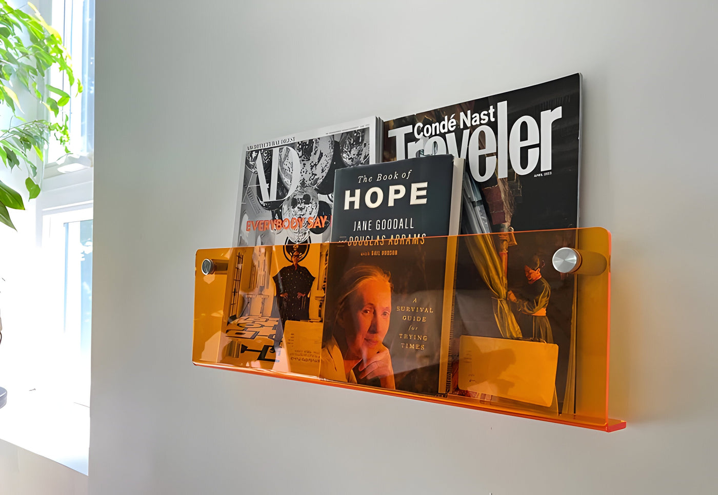 BrightShelf Rack – Modernes Acryl-Wandregal