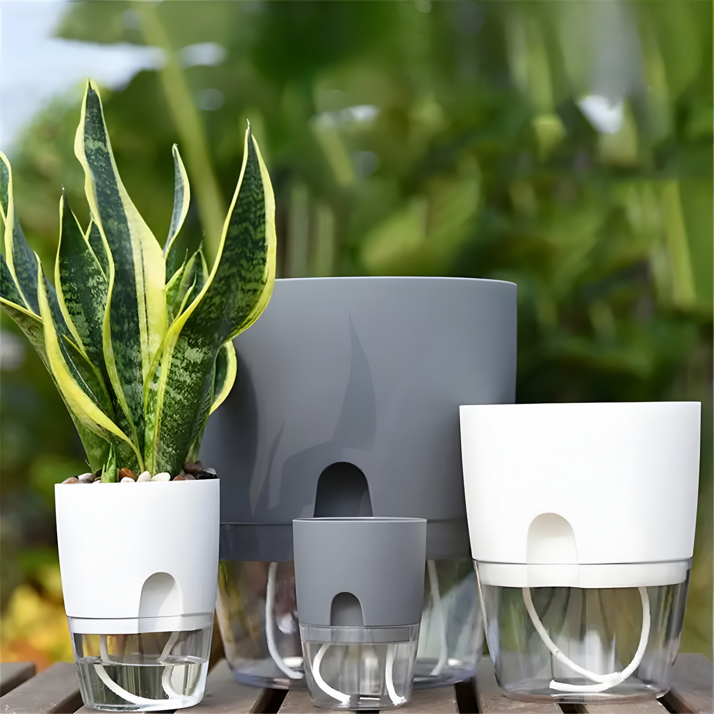 CrystalFlow Topf – Transparenter Selbstbewässernder Blumentopf