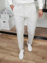 Bequeme Business Hosen Herren in Hellgrau