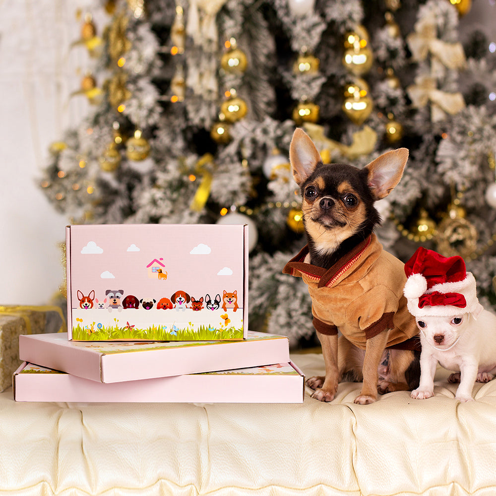 Blumentopf im Esel-Design