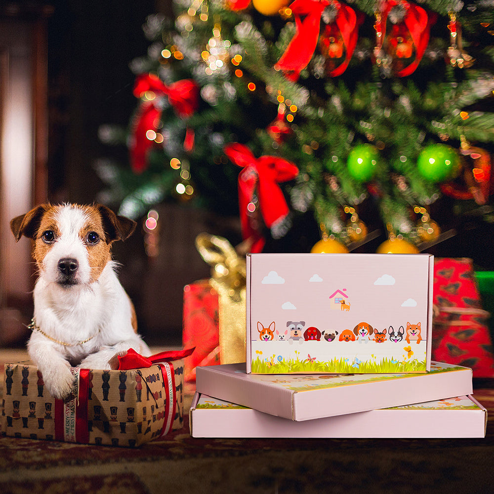 Europäischer Dachs Pflanzgefäß