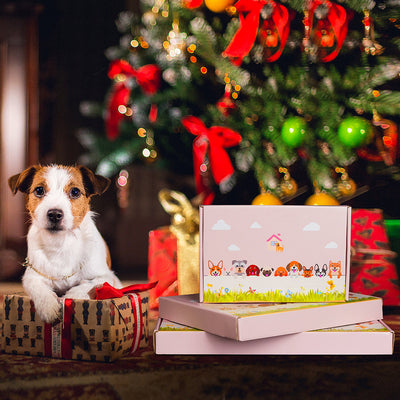 Englischer Mastiff Pflanzgefäß