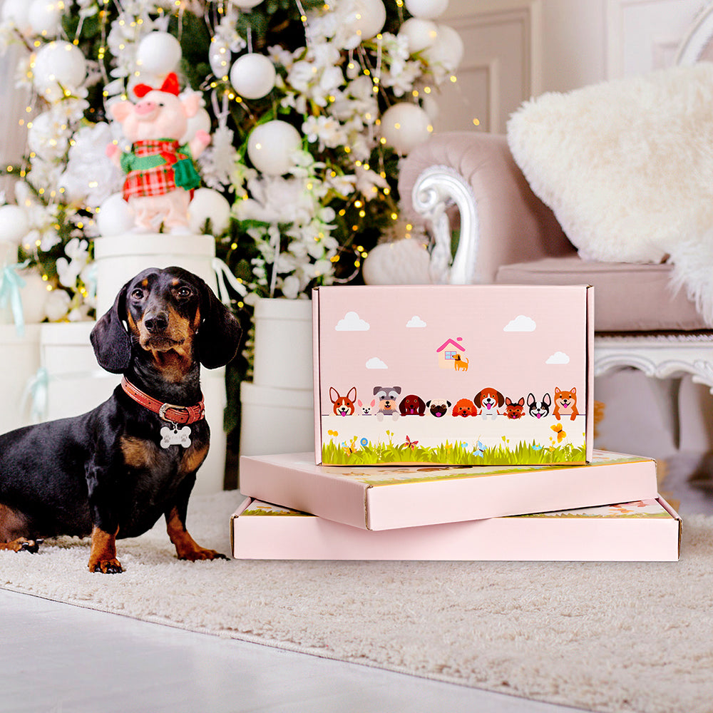 Hochlandkuh Blumenpflanzer