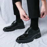 Herren Schnürschuhe mit Wingtip-Details und Perforierter Oberfläche in Schwarz