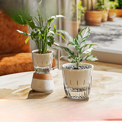 HydroGlow Pot - 2er-Pack Selbstbewässernde Tischpflanzentöpfe
