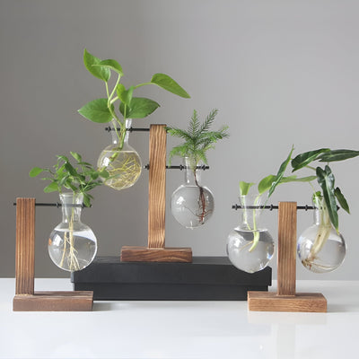 GlassHaven Vase – Hydroponisches Glasgefäß mit Holzständer