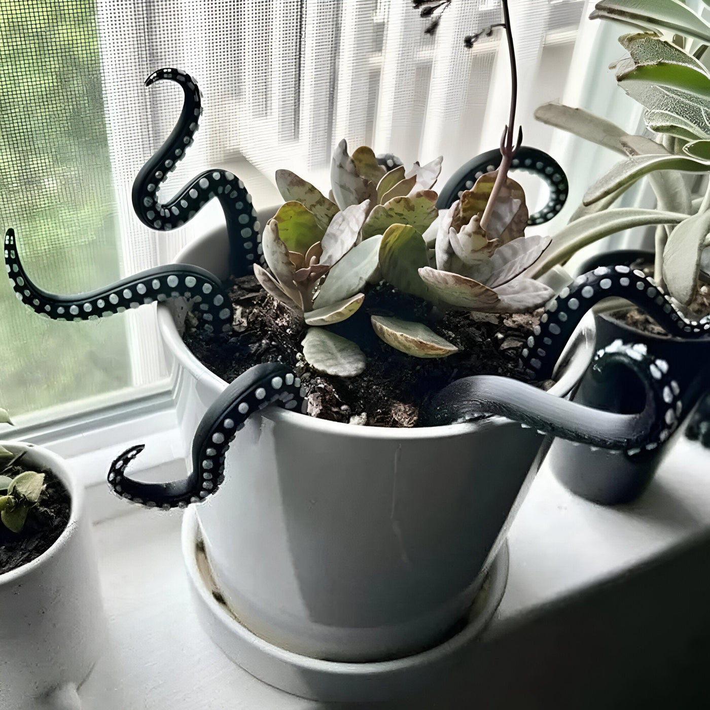 TentacleBloom Set - 7 Stück Oktopus Tentakel Dekoration