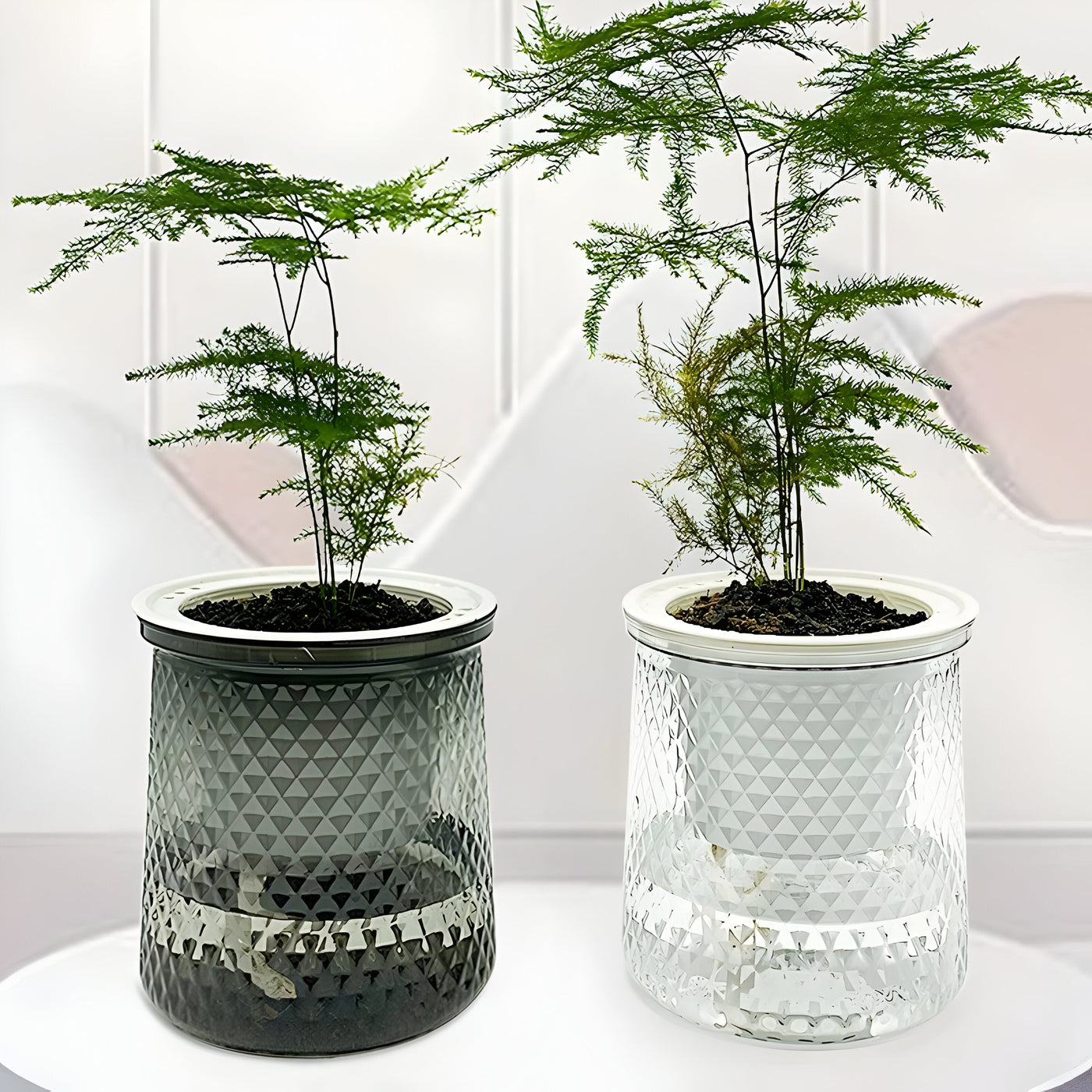 HyggeSprout Topf – Hydroponischer Kristall-Glas-Blumentopf