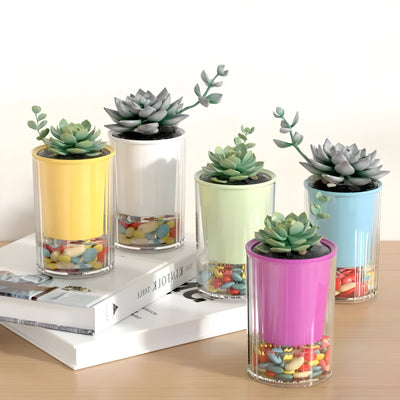 TranspaGrow Pot – 5er-Pack Selbstbewässernde Sukkulenten-Pflanztöpfe