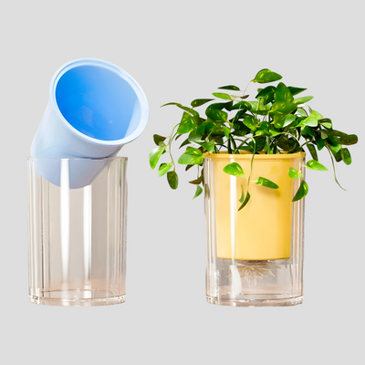 TranspaGrow Pot – 5er-Pack Selbstbewässernde Sukkulenten-Pflanztöpfe