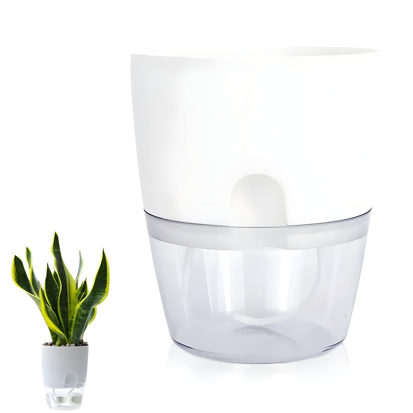 CrystalFlow Topf – Transparenter Selbstbewässernder Blumentopf