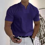 Stillan - Stilvolles Herren-Poloshirt in Lila